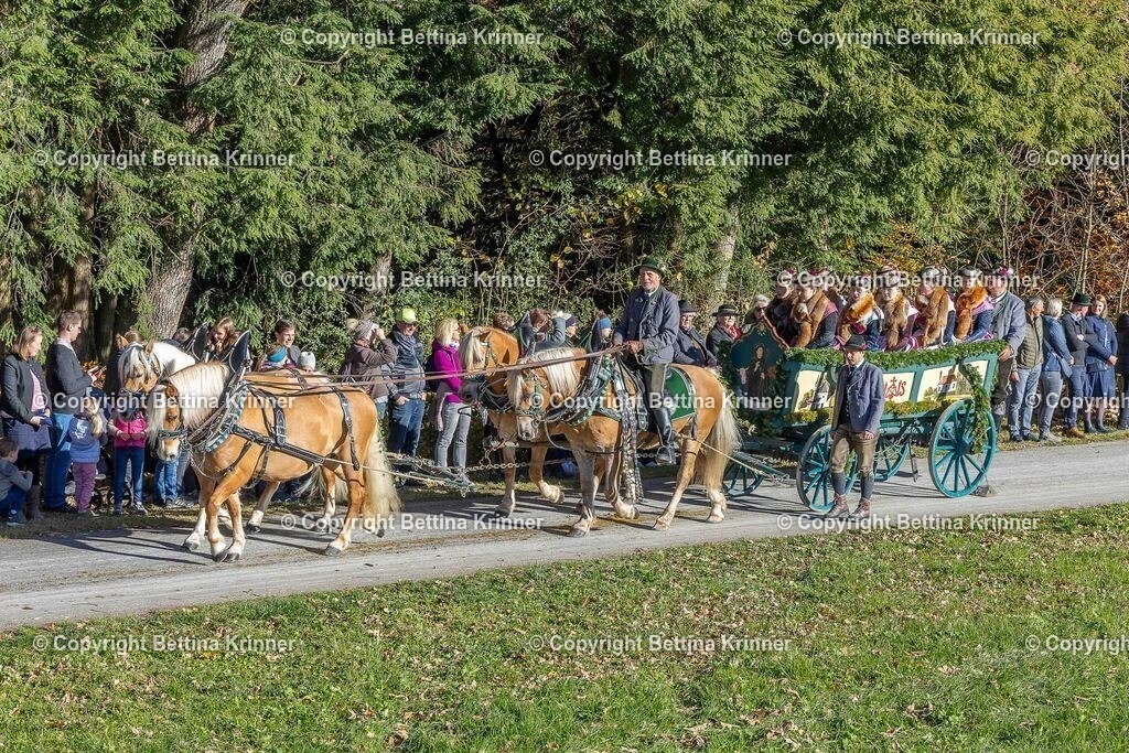 LBT25-571 | foto-bettina-krinner - Realisiert mit Pictrs.com