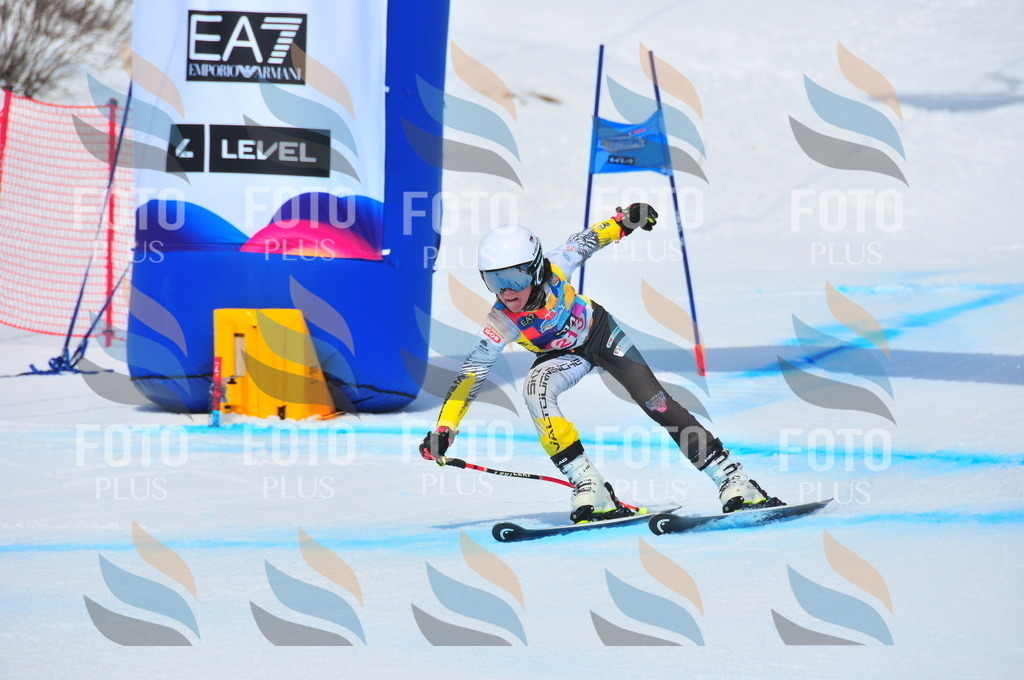 DSC_5696 | holidayphoto