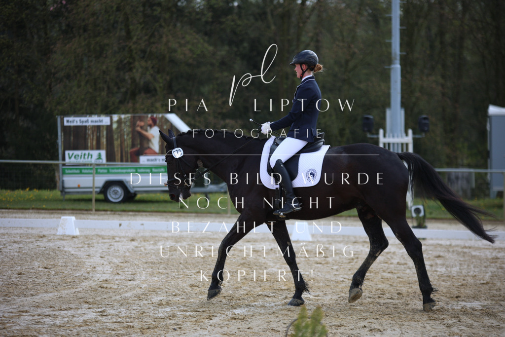 IMGT2371 | pl-fotografie