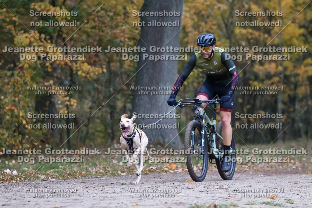 Dog Paparazzi - SD CaniX Championship 2025-52 | Dog Paparazzi Jeanette Grottendiek Fotografie & Videografie
