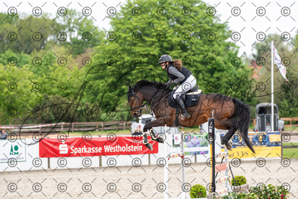 KPT_8702 | andre_photographic