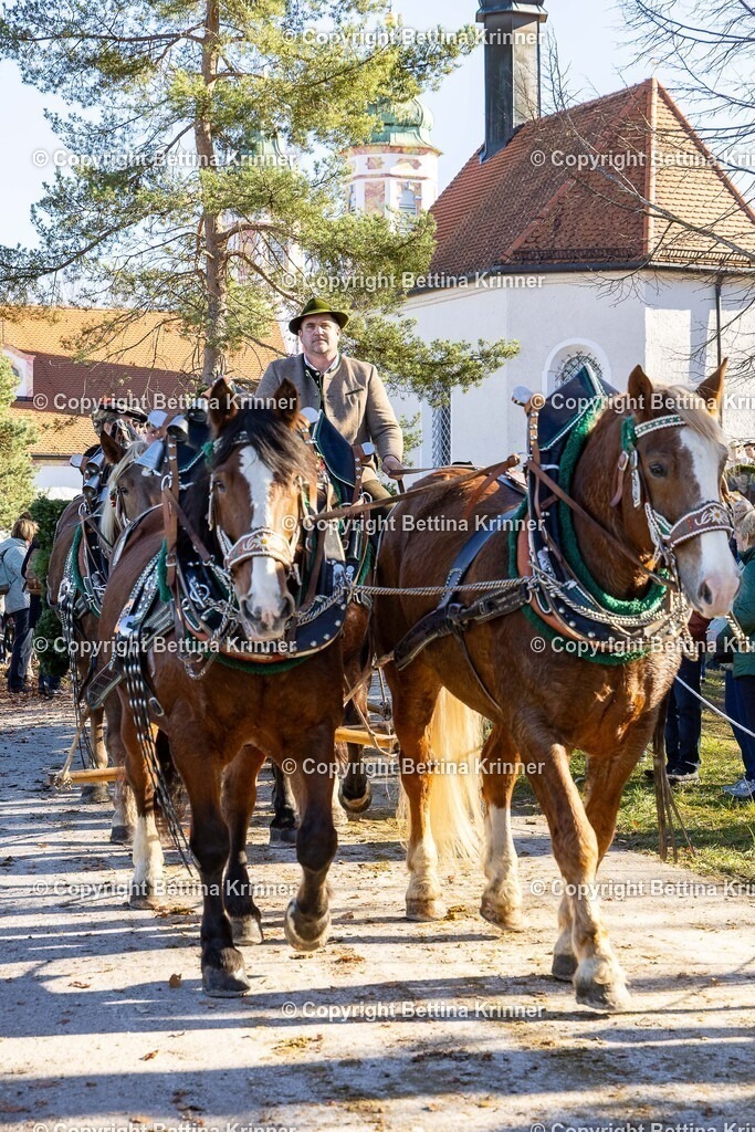 LBT25-1335 | foto-bettina-krinner - Realisiert mit Pictrs.com