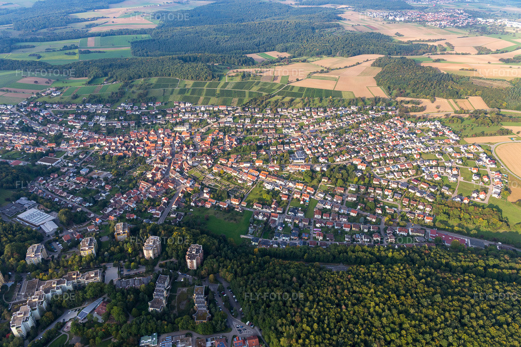 Luftbild: Ortsansicht von Südwesten in Eisingen im Bundesland Baden-Württemberg in Deutschland. Foto: IMG_103638.jpg vom 23.09.2017 durch Werner Riehm/FLY-FOTO.de