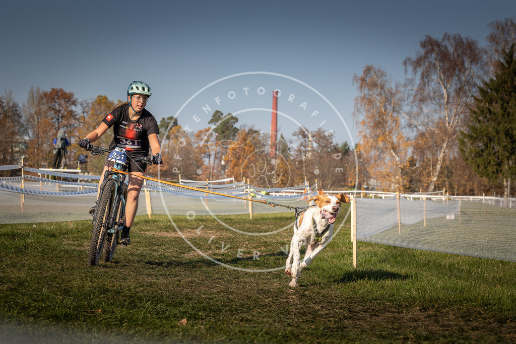CaniXpix_0L8A8134 | Hundefotografie, Tierfotograf, Pfotenfotografie, Fotoshooting Hund, Hunde Portrait, Hundesport, Hundeportraits, Heideshooting, Hunde, Sportfotograf, Hundefotograf, Turnierhundsport, THS,  - Realisiert mit Pictrs.com