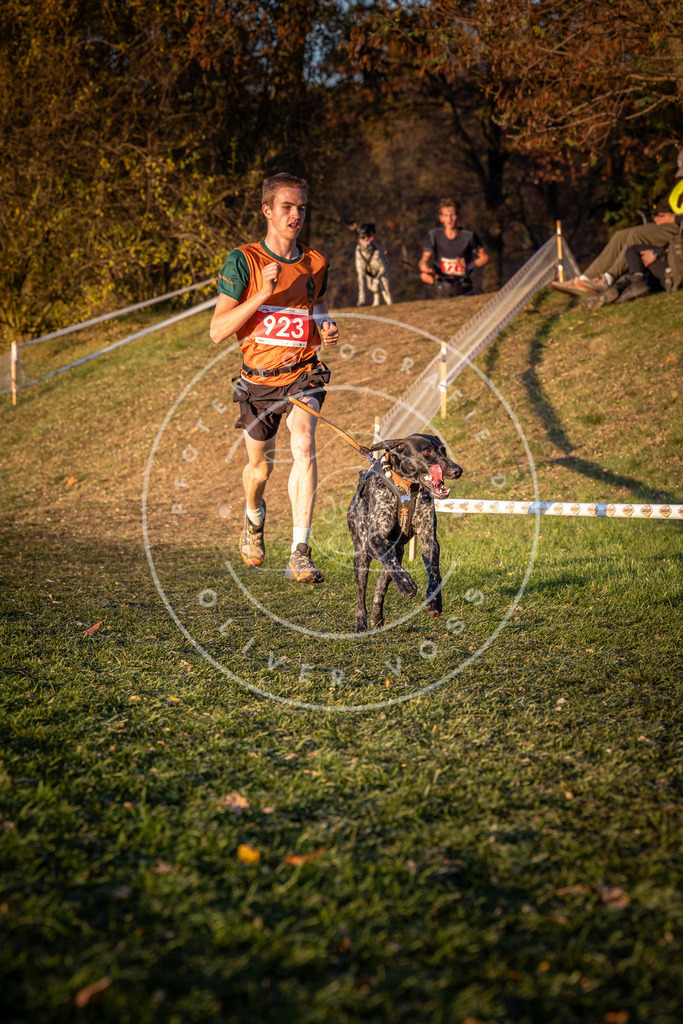 CaniXpix_0L8A1587 | Hundefotografie, Tierfotograf, Pfotenfotografie, Fotoshooting Hund, Hunde Portrait, Hundesport, Hundeportraits, Heideshooting, Hunde, Sportfotograf, Hundefotograf, Turnierhundsport, THS,  - Realisiert mit Pictrs.com