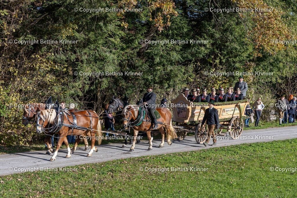 LBT24-438 | foto-bettina-krinner - Realisiert mit Pictrs.com
