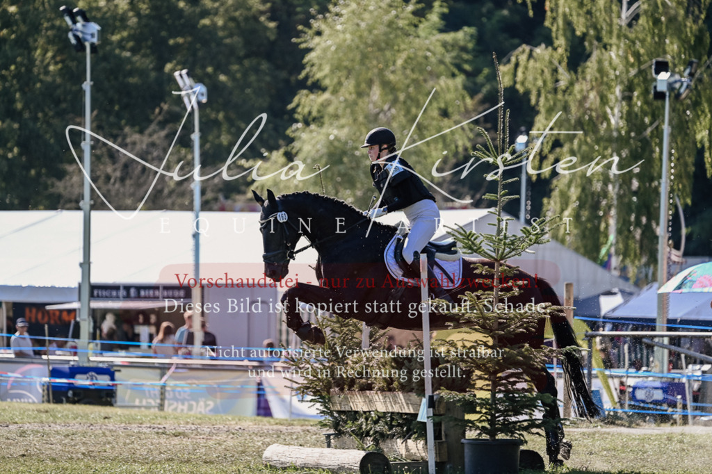 DSC_3530 | Pferde- und Turnierfotografie in Westsachsen. Pferdeportraits, Auftragszeichnungen und intuitive Kunst.