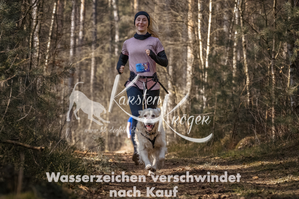1225_ZZ93492-Bearbeitet | kk-dogfotos
