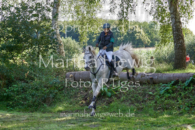 08-23 Bredeneek Jagd_MCH9351_Marina Hewig | Fotografie, FotoArt, PferdesportArt, Pferdesportfotografie, Landschaftsfotografie, Reisefotografie, Reise, Pferde - Realisiert mit Pictrs.com