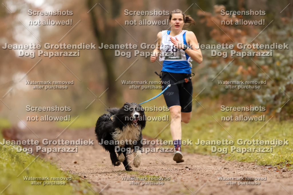 Dog Paparazzi - Speedhunter Mannheim  2025-74 | Dog Paparazzi Jeanette Grottendiek Fotografie & Videografie