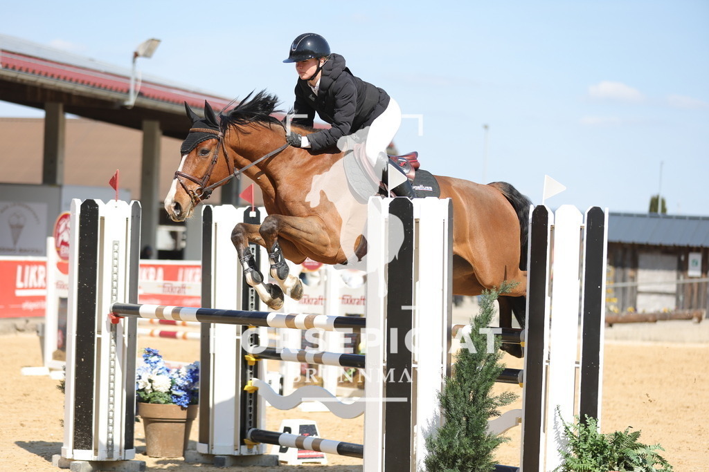 0P6A0468 | Willkommen bei Brunnmayr - Design & Fotografie – Ihrem Spezialisten für Reitturniere und Pferdeveranstaltungen in Oberösterreich, Salzburg und Bayern! Seit über 17 Jahren sind wir leidenschaftlich dabei.