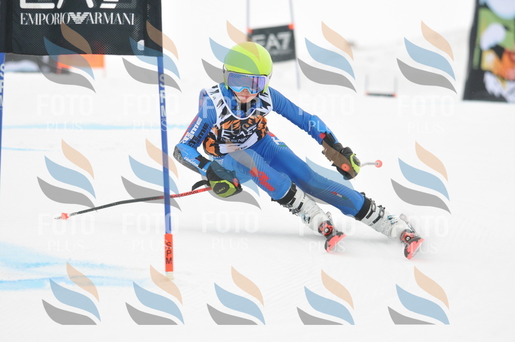 DSC_7729 | holidayphoto