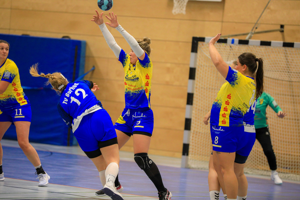 TvBorkenIII_SVN_161125_065 | Bildergalerie von Sport-Ereignissen aber auch von weiteren spannenden Dingen - nicht nur vom Niederrhein. In Anlehnung an den bekannten Spruch von Hanns Dieter Hüsch heißt das Motto: "Niederrhein ist überall".  - Realisiert mit Pictrs.com