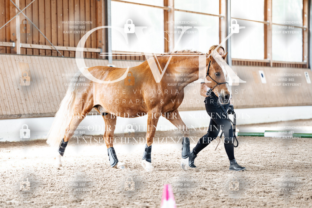 CK905571 | Turnierfotografie Pferdefotografie Trier Rheinland-Pfalz Pferdesport Reitsport Tierfotografie Sportfotografie Pferdevideo Pferdevideografie Equestrianvideography equestrianphotography  - Realisiert mit Pictrs.com