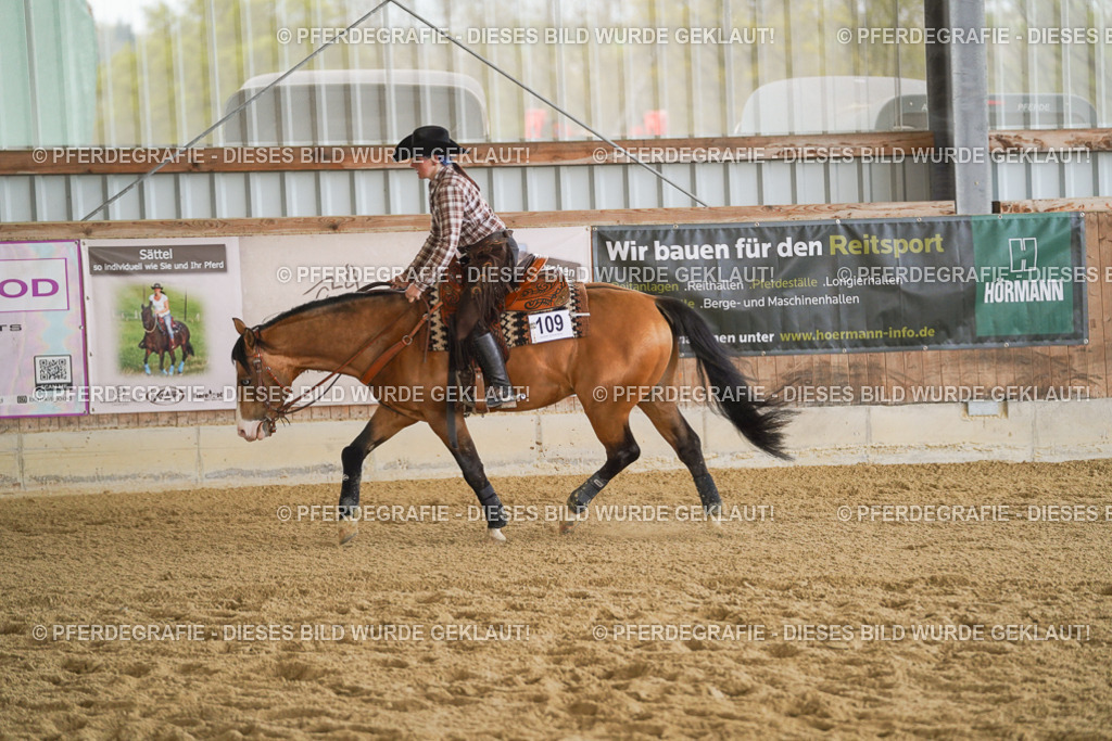 DSC09033 | Pferdegrafie