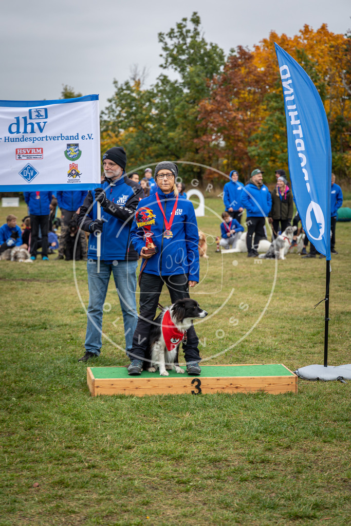 Pfotenfotografie_0L8A0561 | Hundefotografie, Tierfotograf, Pfotenfotografie, Fotoshooting Hund, Hunde Portrait, Hundesport, Hundeportraits, Heideshooting, Hunde, Sportfotograf, Hundefotograf, Turnierhundsport, THS,  - Realisiert mit Pictrs.com