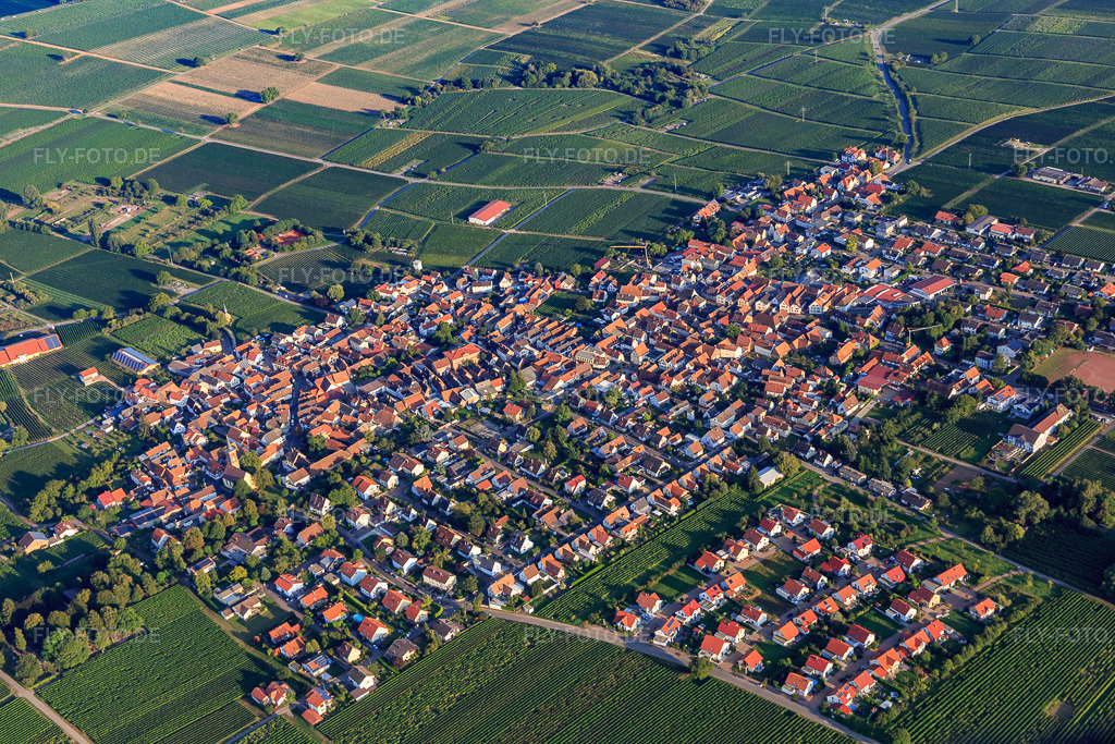 Luftbild: Ortsansicht von Nordwesten im Ortsteil Nußdorf in Landau im Bundesland Rheinland-Pfalz in Deutschland. Foto: IMG_103190.jpg vom 03.09.2017 durch Werner Riehm/FLY-FOTO.de