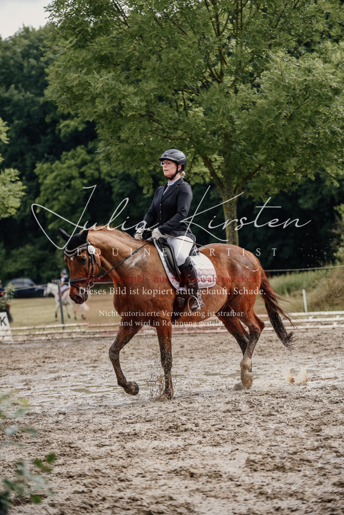 DSC_8973 | Pferde- und Turnierfotografie in Westsachsen. Pferdeportraits, Auftragszeichnungen und intuitive Kunst.