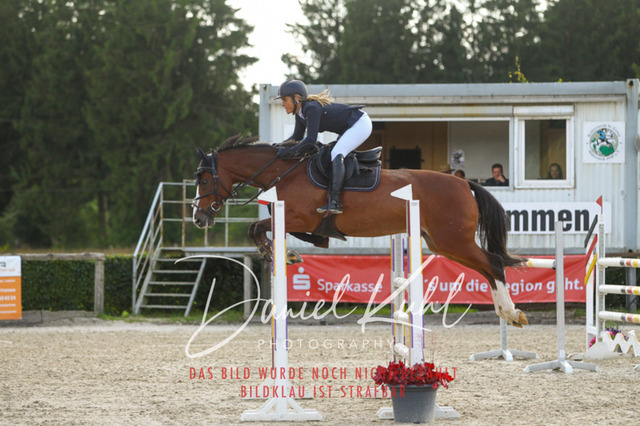 DKP43836 | Turniersportfotografie; Pferdefotografie; Dressurfotografie