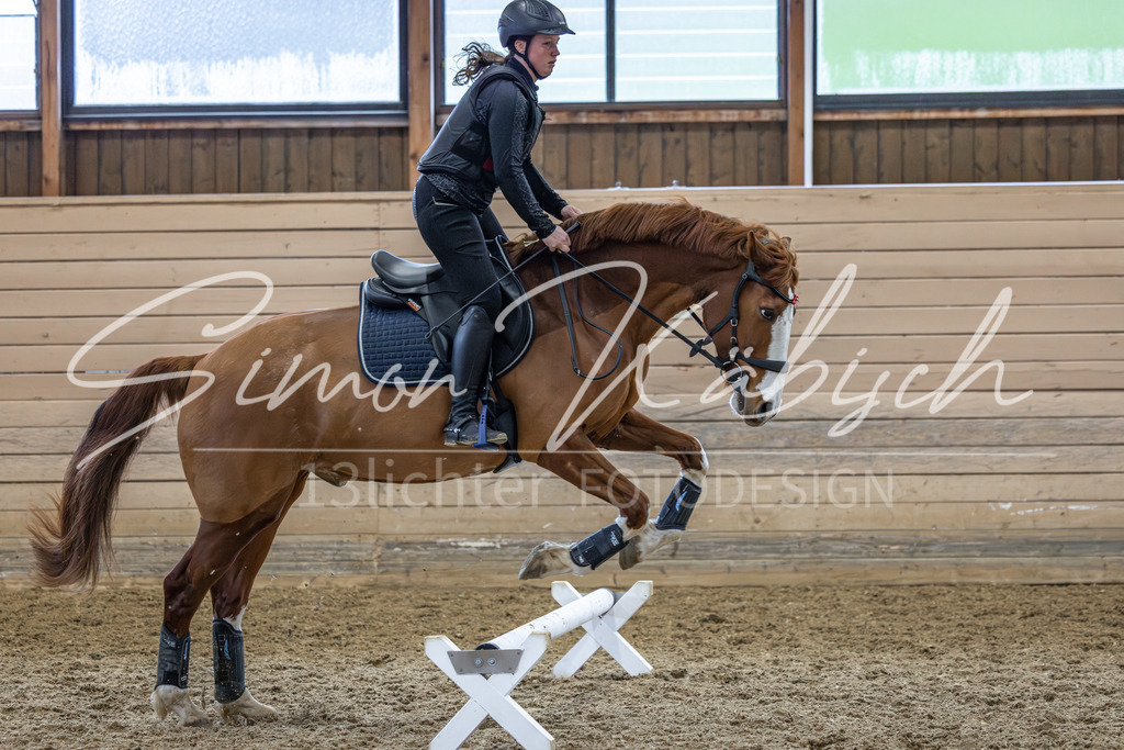 20260222-_3LI1498 | Tierfotografie Pferde, Hunde, Katzen, Haustiere.
Turnierfotografie Reitturniere, Reiten, Springreiten, Dressur in Hanau, dem Main-Kinzig-Kreis und dem Rhein-Main- Gebiet um Frankfurt