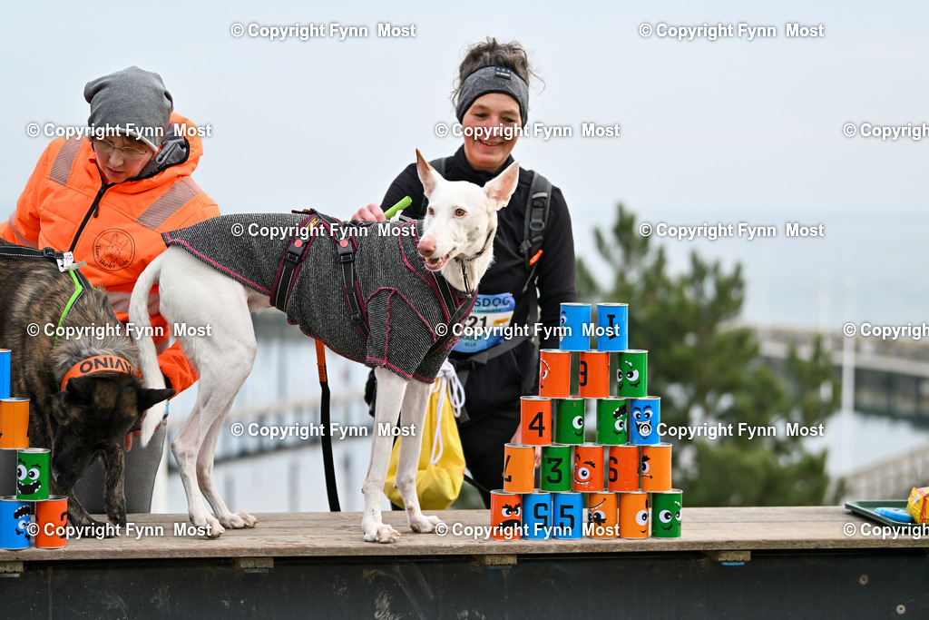 DSC_3976 | Hallo und herzlich Willkommen auf meiner Shop-Seite Fynn Most.

Ich wünsche Dir viel Spaß beim stöbern durch die Bilder, wenn Du Fragen hast oder Bilder vermisst, kannst du mir gerne eine Nachricht schreiben. - Realisiert mit Pictrs.com