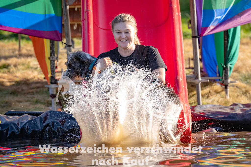 1733_ZZ90981 | kk-dogfotos