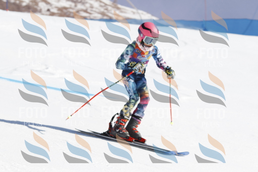 _U3G8864 | holidayphoto