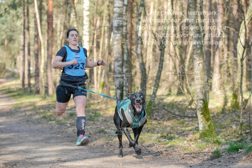 Sa_CC_short-83 | stephaniefillaphotographie - Realisiert mit Pictrs.com