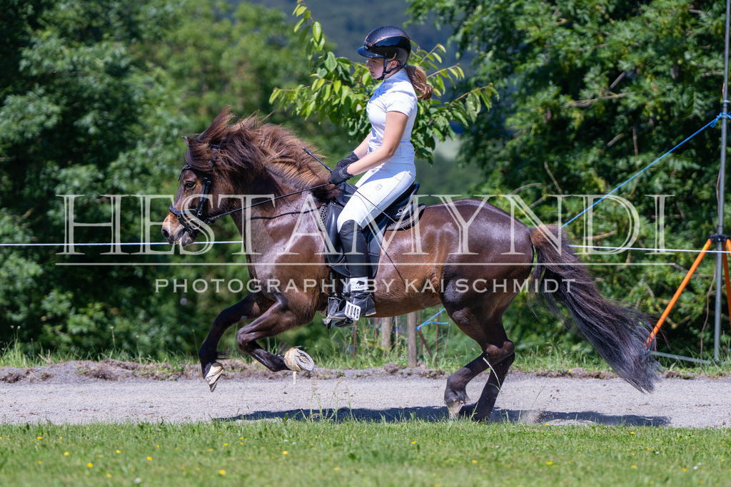 KAI09777 | Ihr sucht einen Fotografen für eure nächste OSI? Ich begleite auch euer Turnier für Islandpferde fotografisch.  - Realisiert mit Pictrs.com