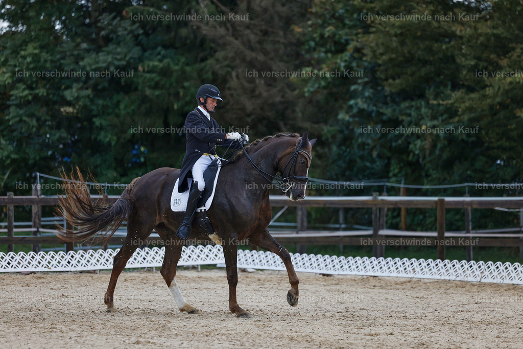 8_2-240-DRESSUR S_  -StoibPH-4463 | working equitationturnier fotograf videograf stoibphotography marixx film working equitation deutschland reitsport turnierfotografie eventfotografie equestrian events