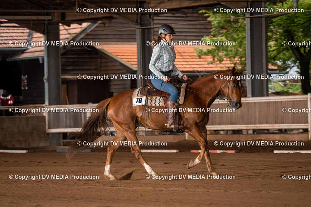 Erbach Tag 2-375 | dv-media-shop - Realisiert mit Pictrs.com