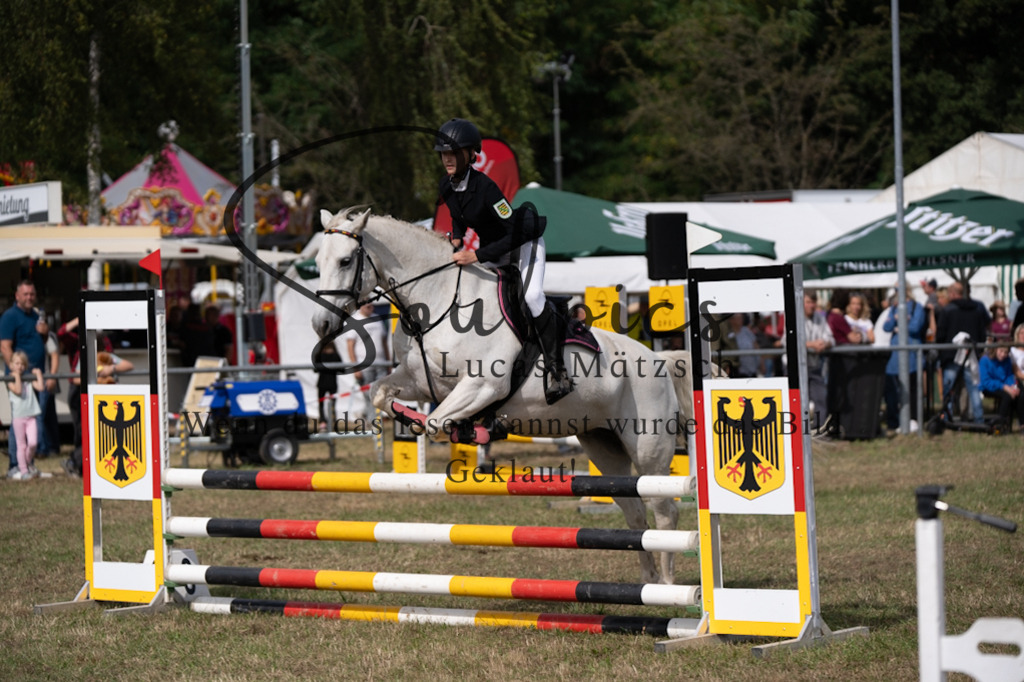 A7V08796 | Pferdefotograf