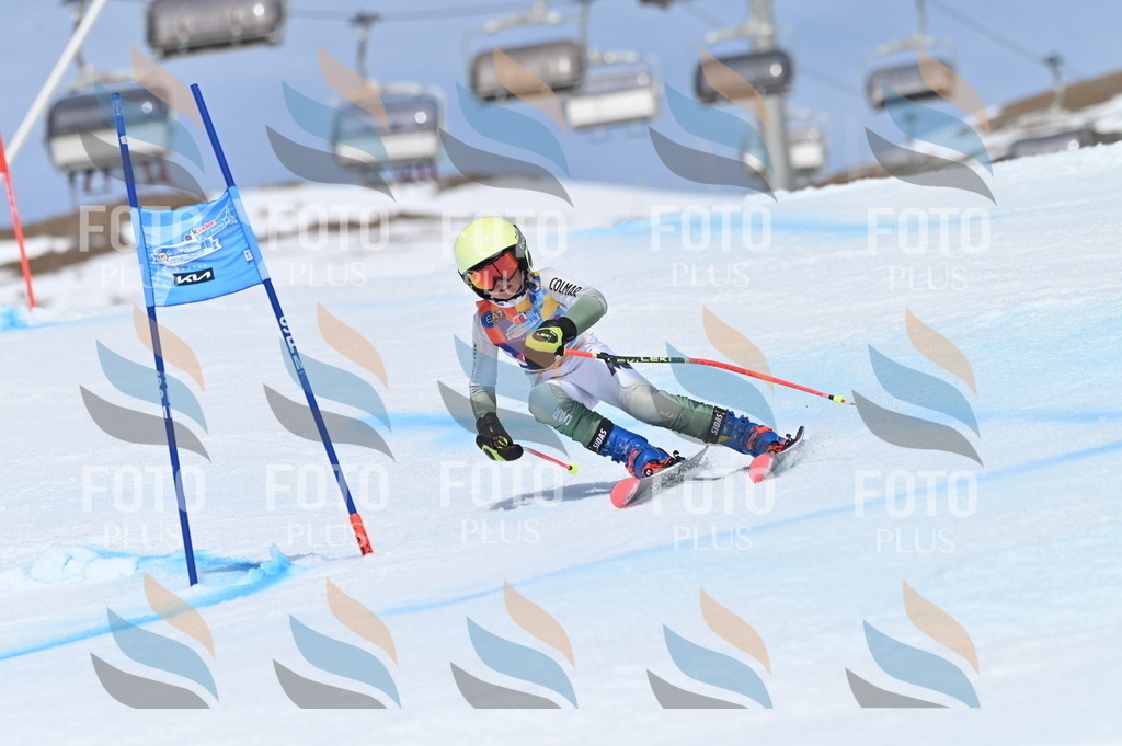 BGV_1320 | holidayphoto