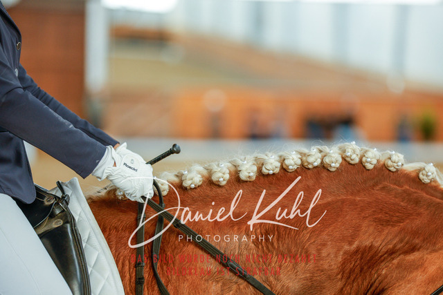 _62_5596 | Turniersportfotografie; Pferdefotografie; Dressurfotografie