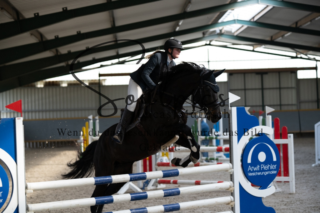 A7V08296 | Pferdefotograf