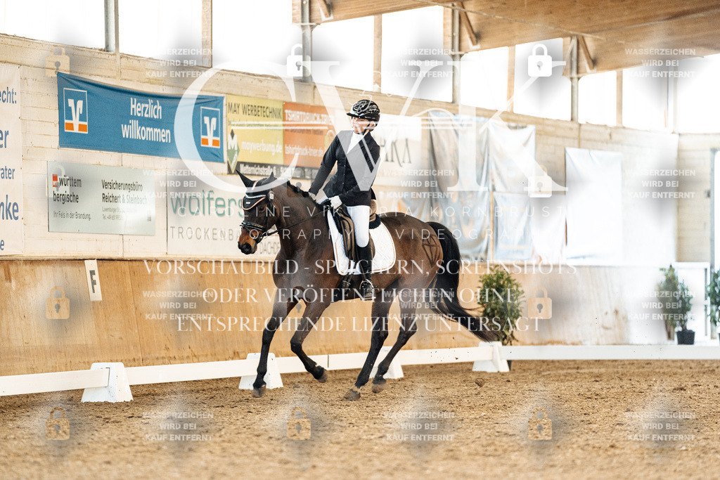 CK908319 | Turnierfotografie Pferdefotografie Trier Rheinland-Pfalz Pferdesport Reitsport Tierfotografie Sportfotografie Pferdevideo Pferdevideografie Equestrianvideography equestrianphotography  - Realisiert mit Pictrs.com