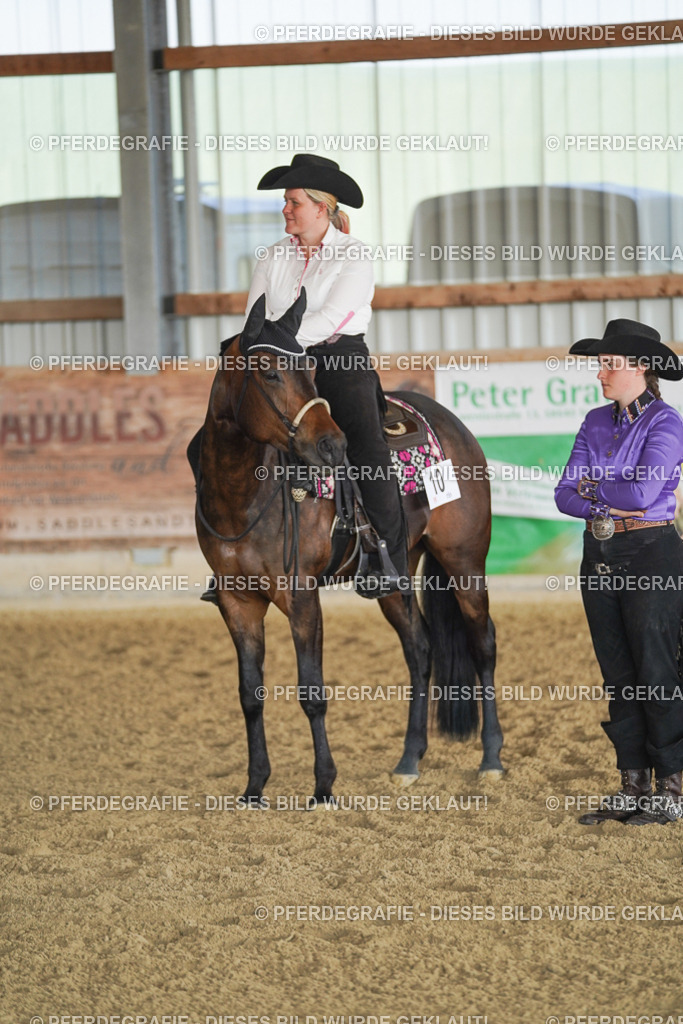 DSC09985 | Pferdegrafie