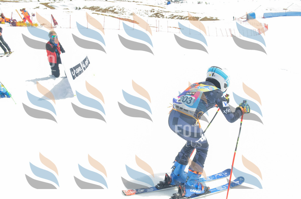 _ELE6950 | holidayphoto