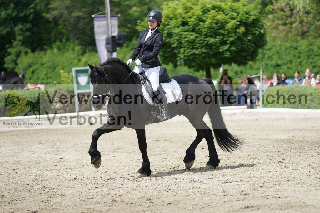 DSC04605 | equestrian-live-com