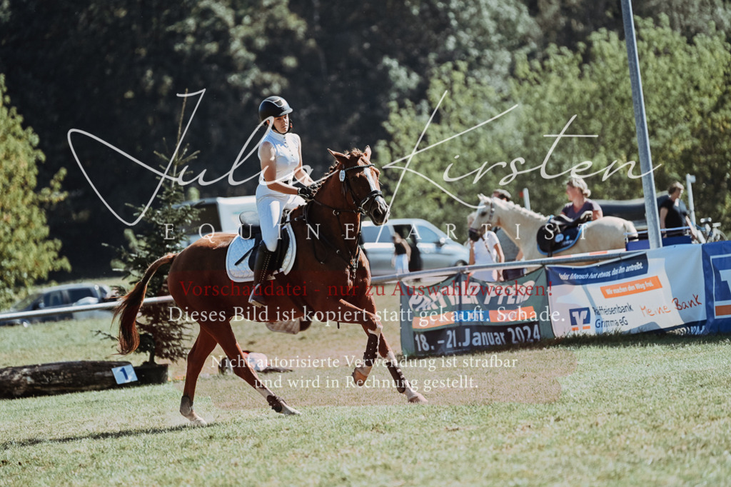 DSC_6973 | Pferde- und Turnierfotografie in Westsachsen. Pferdeportraits, Auftragszeichnungen und intuitive Kunst.
