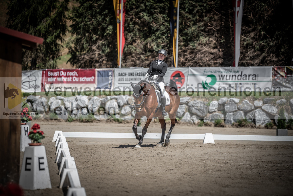 DSC_0405 | equestrian-live-com
