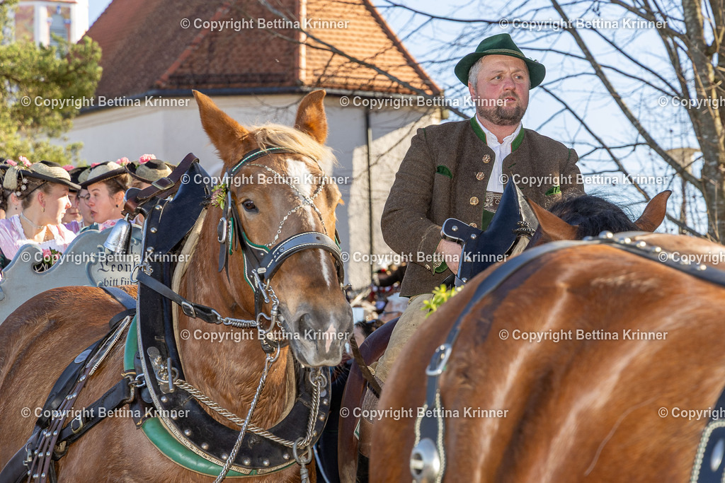 LBT25-1202 | foto-bettina-krinner - Realisiert mit Pictrs.com
