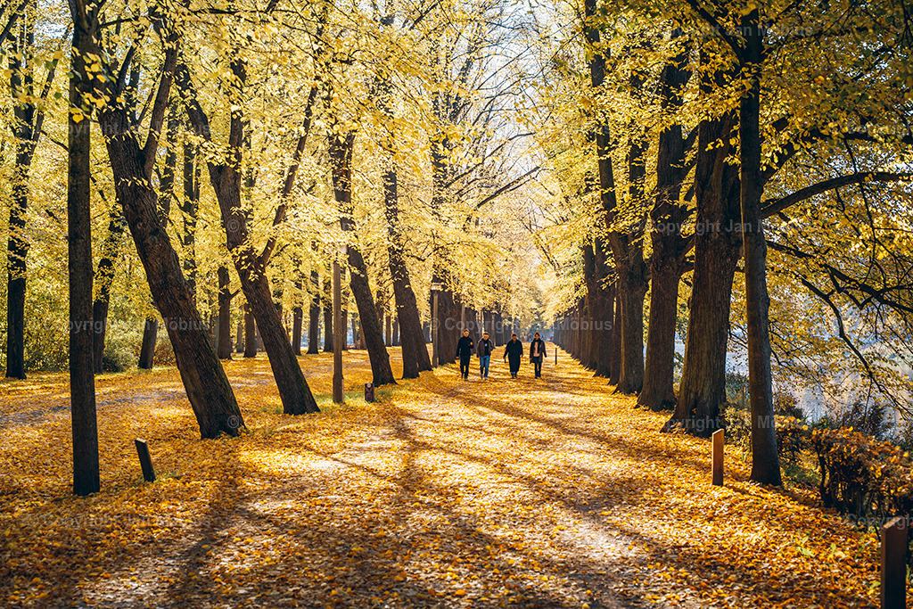 _DSC7465 | Leipzig Wandbilder Drucke Prints Leinwand Stadtmotive Leipzig Fotosdruck Kunstdrucke Bilder Leipzig Stadtansichten Acrylglasbilder Leipzig Wanddeko Fine Art Prints Wandbilder Büro Leipzig Bilder Praxis Zuhause Bilderdruck Poster Posterlounge Kunstdrucke - Realisiert mit Pictrs.com