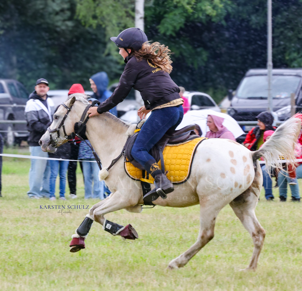 1B3A0449 | Reitsport Reiten