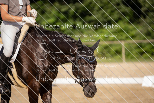 SD_Verl_07635 | saradresslerfotografie - Realisiert mit Pictrs.com