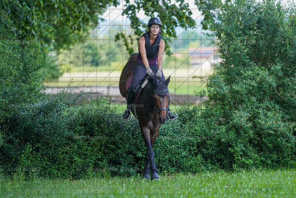 20240622-FAH07713 | Turnierfotografen Bayern, Reitsportbilder aus dem Geländekurs mit Felix Etzel auf dem Gut Waitzacker 2024