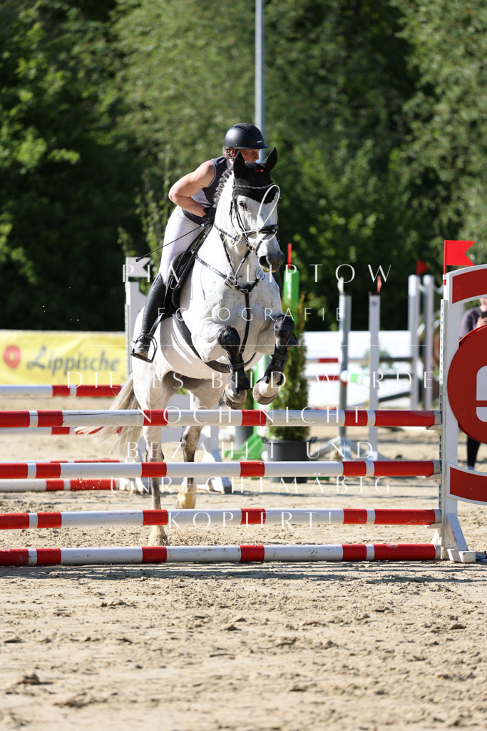 IMGS5611 | pl-fotografie