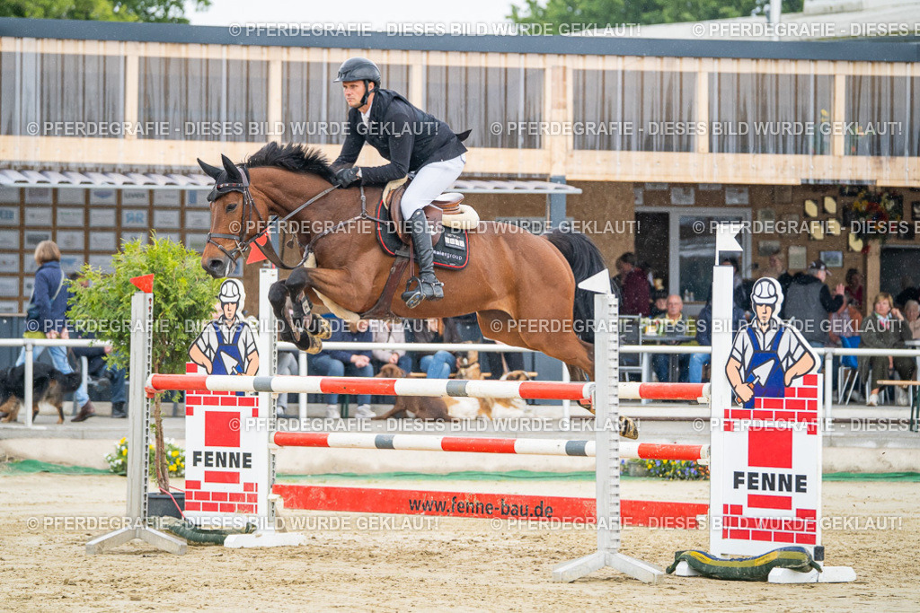 DSC01455 | Pferdegrafie