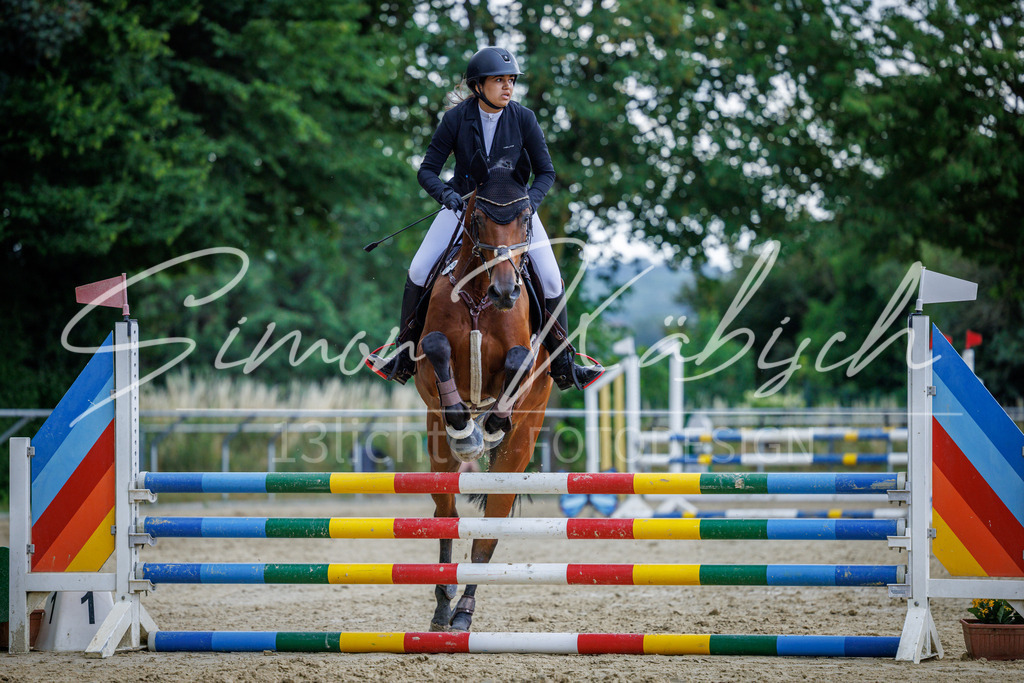 20260705-_3LI4514 | Tierfotografie Pferde, Hunde, Katzen, Haustiere.
Turnierfotografie Reitturniere, Reiten, Springreiten, Dressur in Hanau, dem Main-Kinzig-Kreis und dem Rhein-Main- Gebiet um Frankfurt