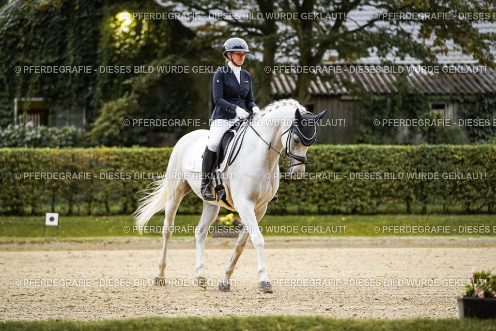 DSC06605 | Pferdegrafie